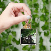 Der Schlüsselanhänger der großen Flussdividende (Hand)