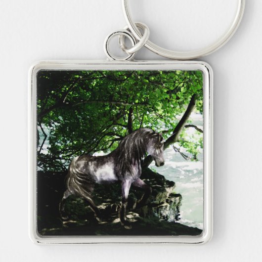 Der Schlüsselanhänger der großen Flussdividende (Vorne)