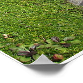 Der schmale Pfad Poster (Ecke)