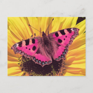 Der Schmetterling ist eine fliegende Blume Postkarte