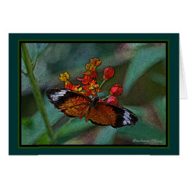 Der Schmetterling Leopardlacewing-(Cethosia cyane)