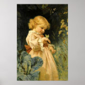 Der Schmetterling Poster (Vorne)