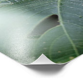 Der Schmetterling und die Blätter Fotodruck (Ecke)