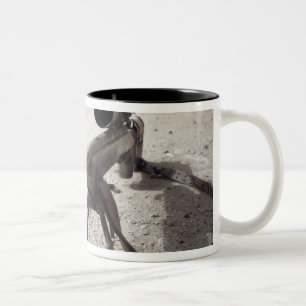 Der Schmidt u. der Bieger M-854155 DS Zweifarbige Tasse