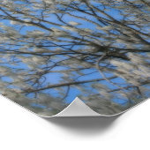 Der Schnee von Poplar Tree Fluff im Juni Poster (Ecke)