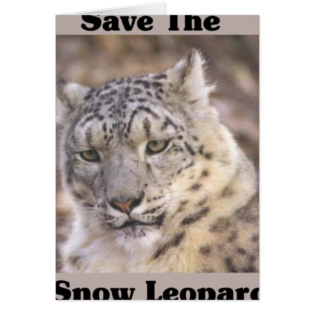 Der Schneeleopard gerettet (Vorne)