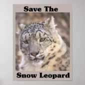 Der Schneeleopard gerettet Poster (Vorne)