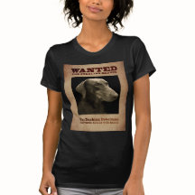 Der schneidige Dobermann