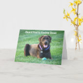 Der Schokoladen-Labrador, der an Sie denkt, Karte (Gelbe Blume)