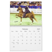 Der schöne Amerikaner Saddlebred Kalender (Feb 2027)