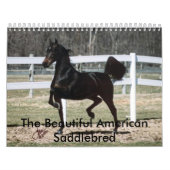 Der schöne Amerikaner Saddlebred Kalender (Titelbild)