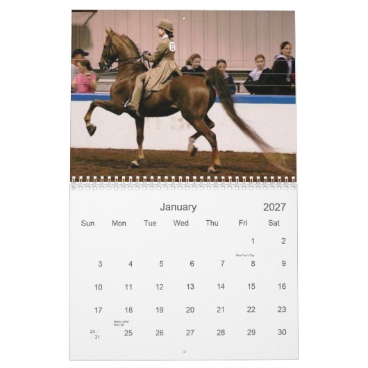 Der schöne Amerikaner Saddlebred Kalender (Jan 2027)