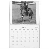 Der schöne Amerikaner Saddlebred Kalender (Mär 2026)