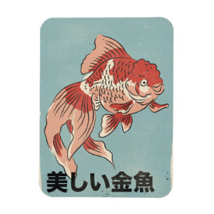 Der schöne Goldfisch Magnet