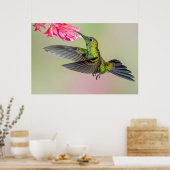 Der schöne Hummingbird fliegt zu einer Blume Poster (Küche)