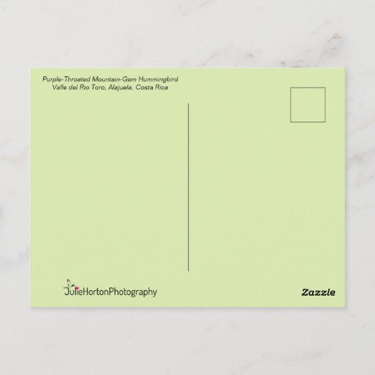 Der schöne Hummingbird fliegt zu einer Blume Postkarte (Rückseite)