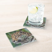 Der schöne Jaguar im Untersetzer des Wilden Glases (Schrägansicht)