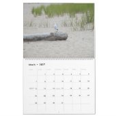 Der schöne Kalender der Natur (Mär 2027)