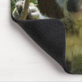 Der schöne Koala-Bär im Bäumen Mousepad (Ecke)