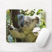 Der schöne Koala-Bär im Bäumen Mousepad (Mit Mouse)