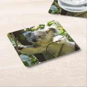Der schöne Koala-Bär im Bäumen Rechteckiger Pappuntersetzer (angewinkelt)