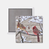 Der schöne Magnet zeigt rote Kardinäle im Schnee (Vorderseite/Rückseite)