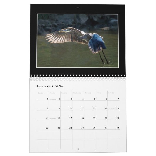 Der schöne Naturkalender 2023 Kalender (Feb 2026)