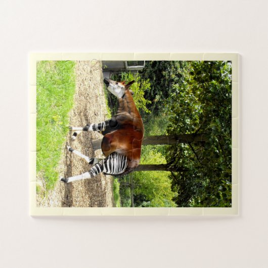 Der schöne Okapi Puzzle (Horizontal)