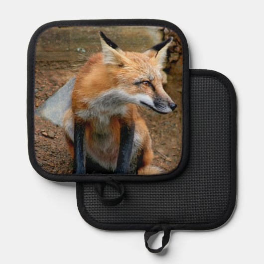 Der schöne rote Fuchs Topflappen (Vorderseite/Rückseite)