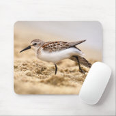 Der schöne Sandpiper-Vogel im Sand Mousepad (Mit Mouse)