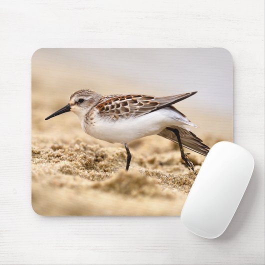 Der schöne Sandpiper-Vogel im Sand Mousepad (Mit Mouse)