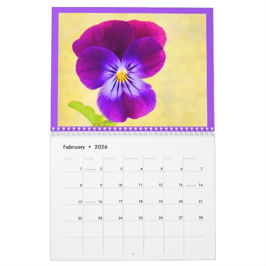 Der schöne Violetkalender Kalender (Feb 2026)