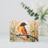 Der schöne Vogel Baltimore Oriole von Springtime N Postkarte (Stehend Vorderseite)
