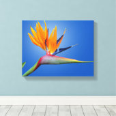 Der schöne Vogel des Paradieses Strelitzia Blume Leinwanddruck (Insitu (Holzboden))