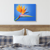 Der schöne Vogel des Paradieses Strelitzia Blume Leinwanddruck (Insitu (Schlafzimmer))