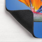 Der schöne Vogel des Paradieses Strelitzia Blume Mousepad (Ecke)