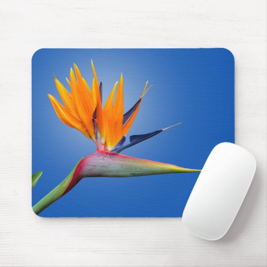 Der schöne Vogel des Paradieses Strelitzia Blume Mousepad (Mit Mouse)