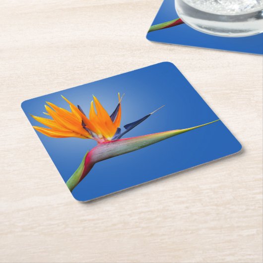 Der schöne Vogel des Paradieses Strelitzia Blume Rechteckiger Pappuntersetzer (angewinkelt)