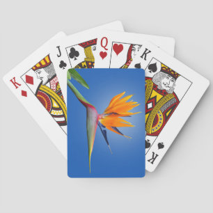 Der schöne Vogel des Paradieses Strelitzia Blume Spielkarten