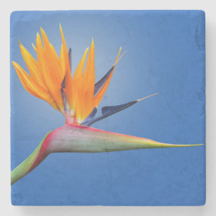 Der schöne Vogel des Paradieses Strelitzia Blume Steinuntersetzer