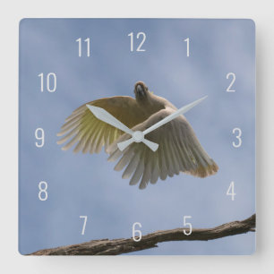 Der schöne Vogel-Papagei im Himmel Quadratische Wanduhr