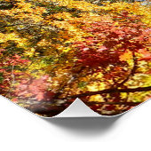 Der schöne Wald im Herbst... Poster (Ecke)