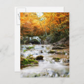 Der schöne Wasserfall im Wald, Herbst Postkarte (Vorne/Hinten)