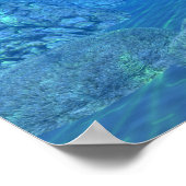 Der schöne Whalphon Poster (Ecke)