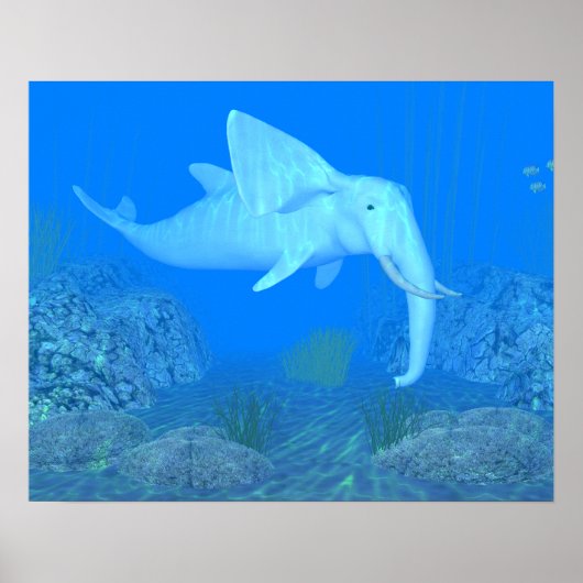 Der schöne Whalphon Poster (Vorne)