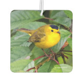 Der schöne Wilson's Warbler im Kirschbaum Autolufterfrischer (Rückseite)