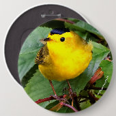 Der schöne Wilson's Warbler im Kirschbaum Button (Vorne & Hinten)
