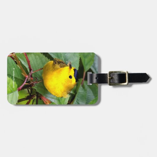 Der schöne Wilson's Warbler im Kirschbaum Gepäckanhänger (Vorderseite horizontal)