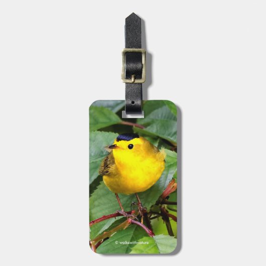 Der schöne Wilson's Warbler im Kirschbaum Gepäckanhänger (Vorderseite vertikal)