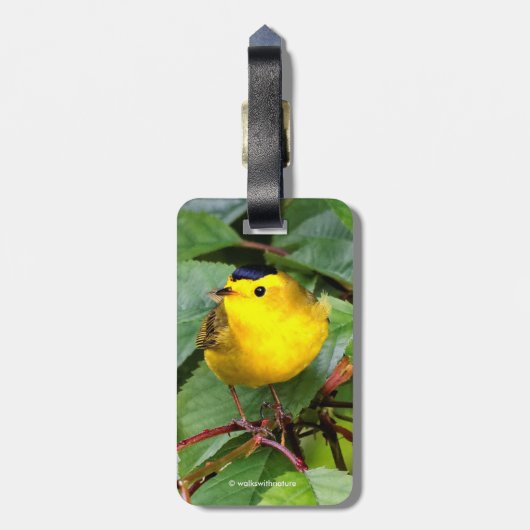 Der schöne Wilson's Warbler im Kirschbaum Gepäckanhänger (Rückseite vertikal)